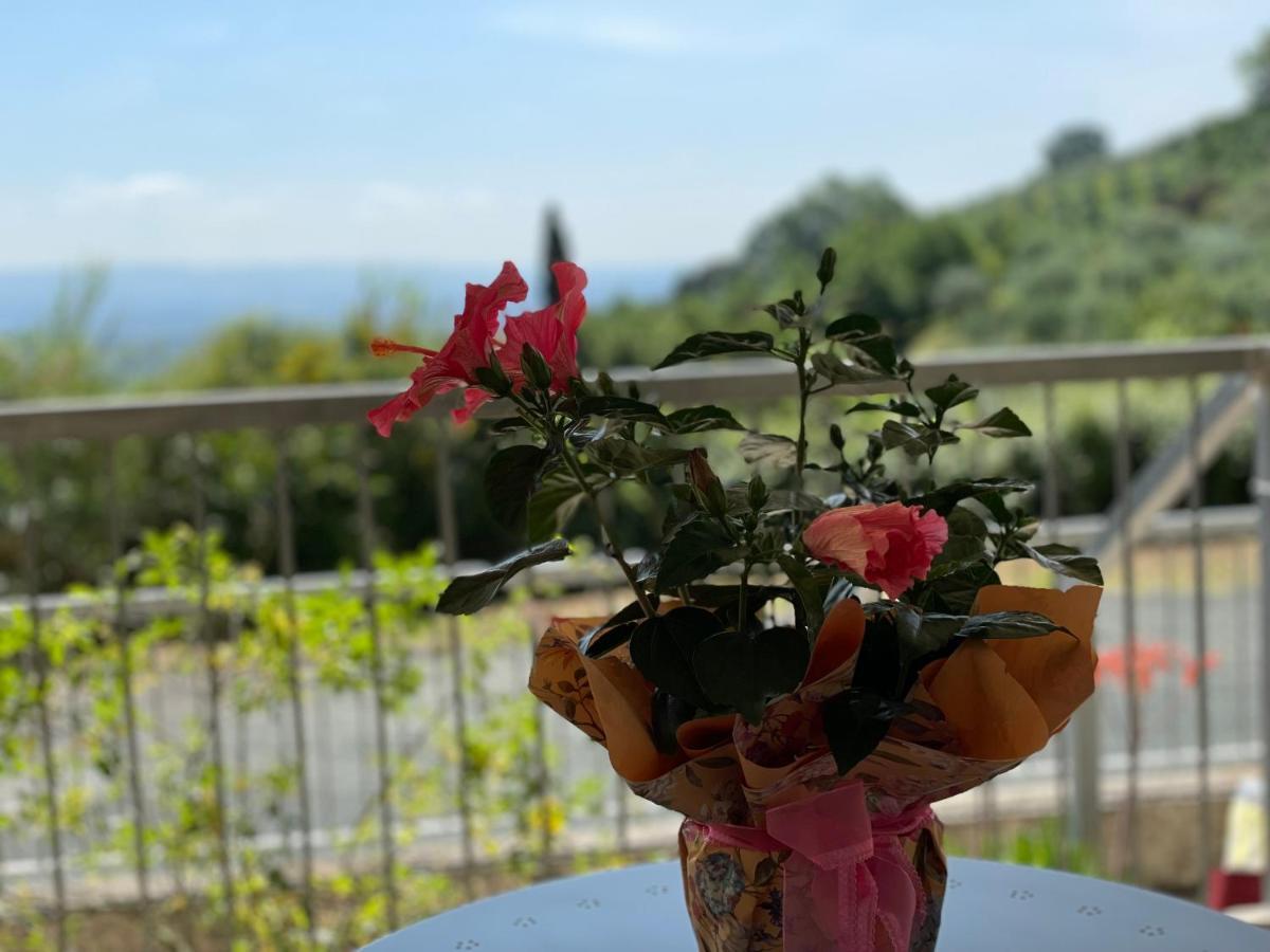 ガンバッシ・テルメA Casa Di Silviaアパートメント エクステリア 写真